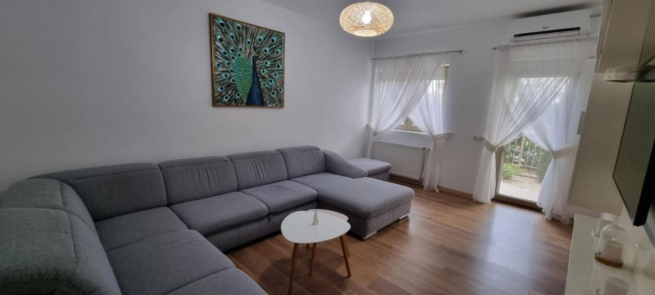 Sasu Apartment Timisoara Bagian luar foto