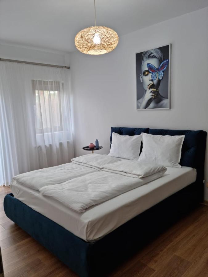 Sasu Apartment Timisoara Bagian luar foto